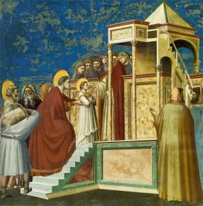 Apresentação da Virgem de Giotto